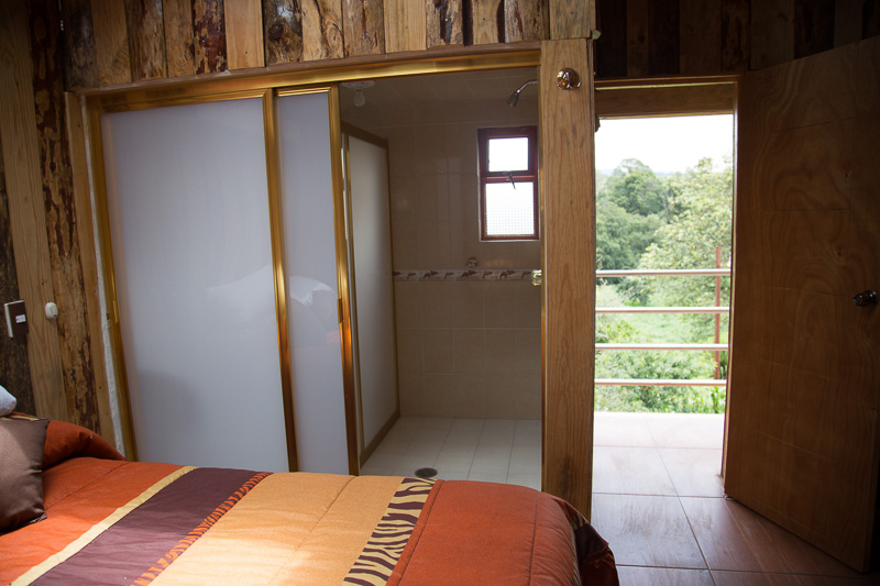 Interior 4